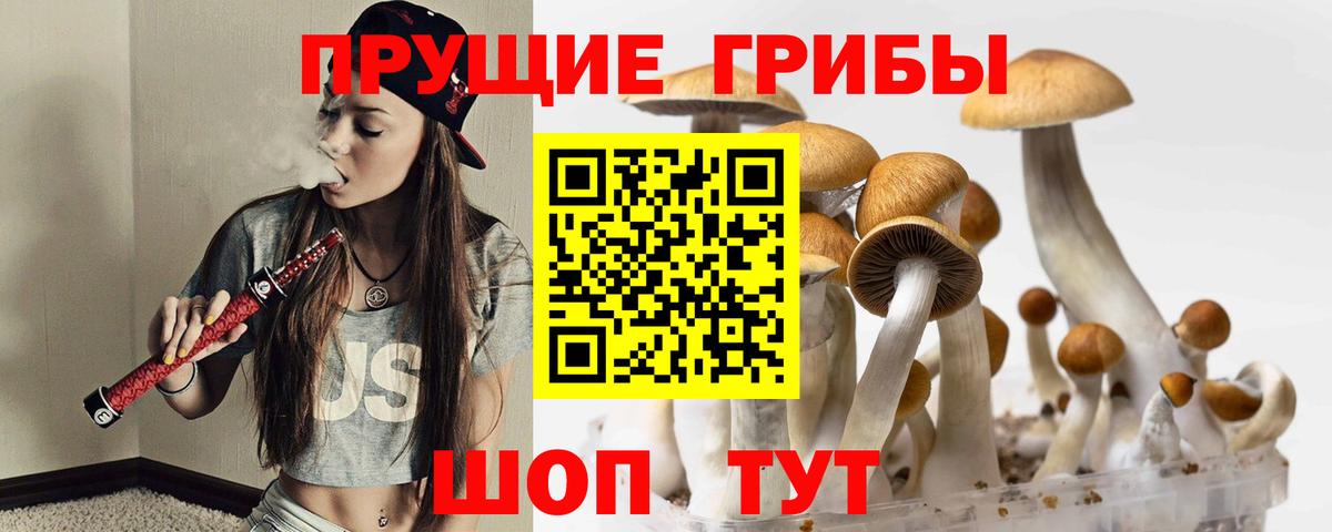 Псилоцибиновые грибы Psilocybe Нягань